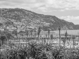 la isla de madeira foto