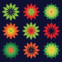 colorful flower set design vector