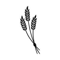 Wheat, barley, rice icon. Hand drawn vector