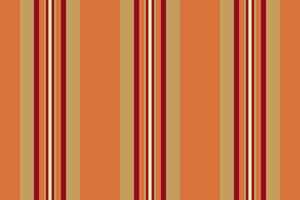 Background fabric lines of stripe textile texture with a pattern vector seamless vertical.