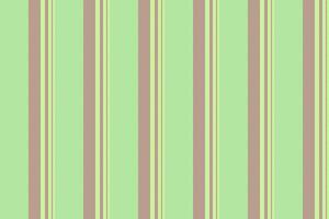 Lines seamless background of vertical textile fabric with a texture vector stripe pattern.