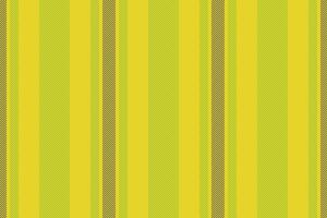 Tissue texture lines textile, hat vertical fabric vector. Lady pattern seamless stripe background in yellow and lime colors. vector
