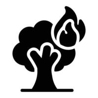 wildfire Glyph Icon Background White vector