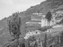 Madeira island in portugal photo