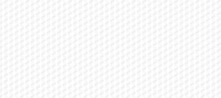 Gray white triangle geometric pattern background vector