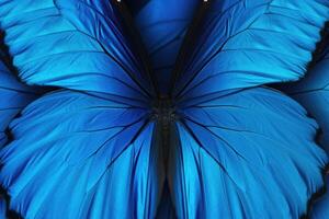 AI generated Abstract blue pattern from butterfly wings photo