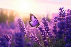 AI generated Lavender flowers and butterfly in summer morning photo