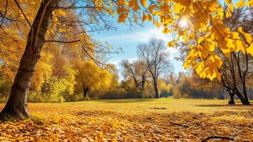 ai generado vibrante otoño paisaje, brillante colores en de la naturaleza otoño paleta foto