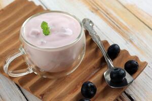 Blueberry Yogurt with Fresh Blueberry photo