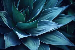 AI generated Lush and Exuberant Agave and Cactus Leaves photo