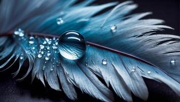 AI generated Beautiful feather, drop of water dark background photo