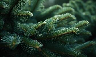 AI generated Close-up of spruce branches with red berries on blurred background photo