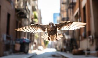 AI generated A sparrow flies in the air on a background of buildings. photo