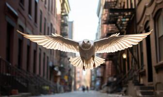 ai generado un pájaro volador a lo largo un urbano calle, iluminado por calentar luz de sol foto