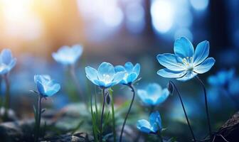 AI generated Blue crocus flowers in the forest. Early spring. Nature background photo