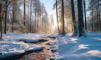 AI generated Beautiful winter forest landscape with trees covered with hoarfrost and snow photo