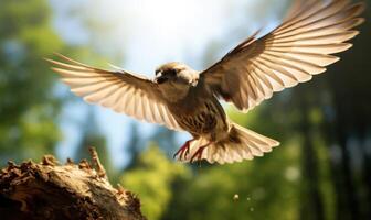 AI generated Close-up portrait of a sparrow in flight on a sunny day photo