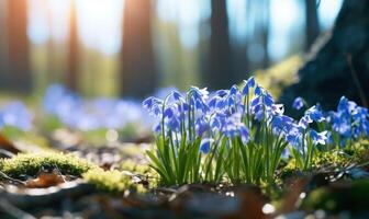 AI generated Spring snowdrop flowers. Beautiful nature scene with blooming forest flowers. photo