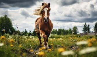 ai generado hermosa marrón caballo con largo melena en el campo con amarillo flores foto