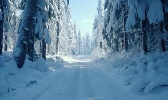 AI generated Beautiful winter forest landscape with trees covered with hoarfrost and snow photo