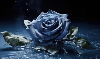 AI generated Beautiful blue rose with water drops on a dark blue background. photo