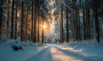 AI generated Beautiful winter forest landscape with trees covered with hoarfrost and snow photo