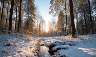 AI generated Beautiful winter forest landscape with trees covered with hoarfrost and snow photo