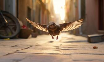 ai generado un pájaro volador a lo largo un urbano calle, iluminado por calentar luz de sol foto