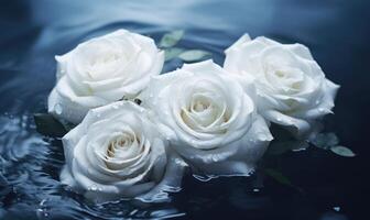 AI generated White roses on water surface. Shallow depth of field. photo