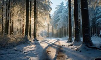 AI generated Beautiful winter forest landscape with trees covered with hoarfrost and snow photo