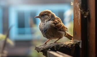 AI generated Sparrow sitting on the wooden fence in the garden. Selective focus. photo