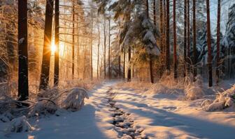 AI generated Beautiful winter landscape with snow covered trees in forest at sunrise. photo