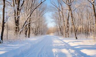 AI generated Beautiful winter landscape with snow covered trees in forest at sunrise. photo