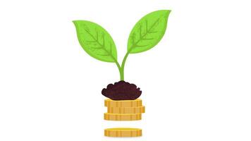 2d looping animation with coin and growth plant video