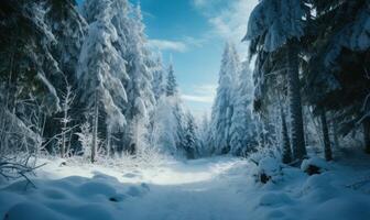 AI generated Beautiful winter forest landscape with trees covered with hoarfrost and snow photo