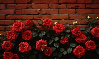 AI generated Red roses on a brick wall background with copy space for text photo