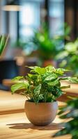 AI generated Office Plantscape, Showcase a variety of indoor plants strategically placed around the office, background image, generative AI photo