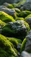 AI generated Explore the texture and vibrant green hues of moss covering rocks in a natural setting, background image, generative AI photo