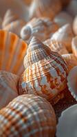 AI generated Types of seashells, background image, AI generated photo
