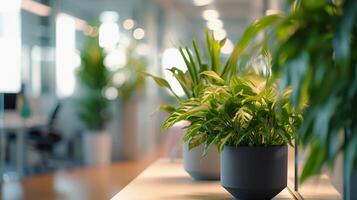 AI generated Office Plantscape, Showcase a variety of indoor plants strategically placed around the office, background image, generative AI photo