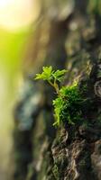 AI generated Miniature landscape of moss growing on a tree bark, background image, generative AI photo