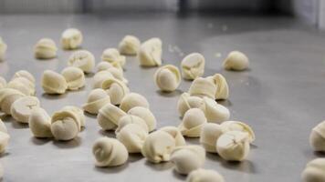 cozinhou dumplings vôo para a mesa a partir de metal panela dentro lento movimento, cozinhando tema. fazer dumplings de mãos video