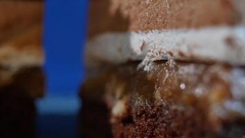 Tiramisu cake. Tiramisu cake on plate with fork isolated on dark blue close up video