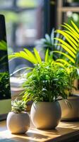 AI generated Office Plantscape, Showcase a variety of indoor plants strategically placed around the office, background image, generative AI photo