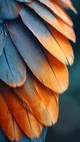 ai generado elegante detalles de individual plumas en un pájaro, antecedentes imagen, ai generado foto