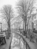 the city of Amsterdam photo