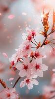 AI generated Cherry Blossom Delight, background image, generative AI photo