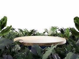 ai generado 3d representación de un blanco podio anidado en un vibrante bosque configuración, ideal para producto presentación, con un crujiente blanco antecedentes foto