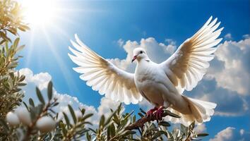 AI generated White dove against the sky with clouds, branch photo