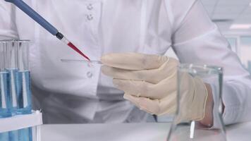 close-up of gloved hands. a blood test using a micropipette and glass for a microscope. medical laboratory video